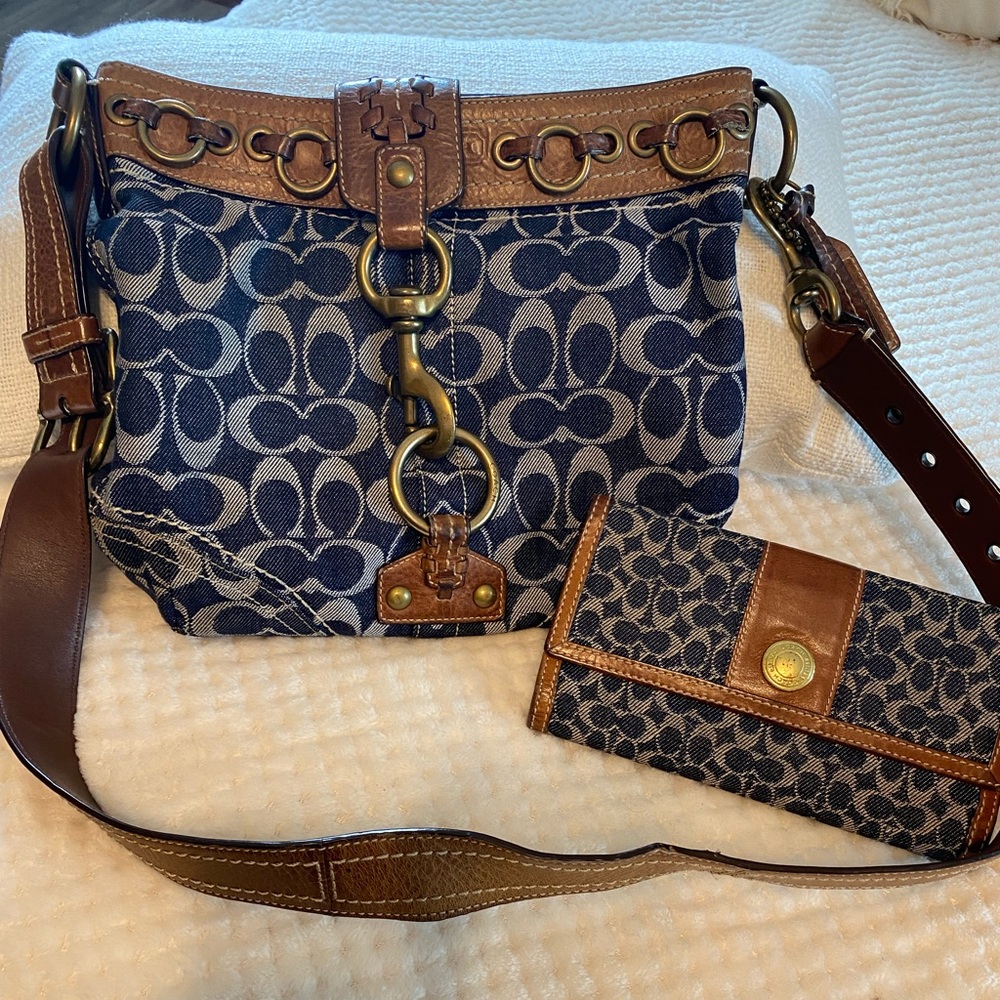 SOLD Designer Blue and Brown Patterned Women's Bag